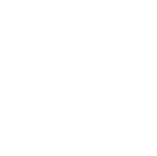 Netrin Logo
