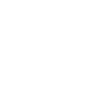 Tea Trunk Logo